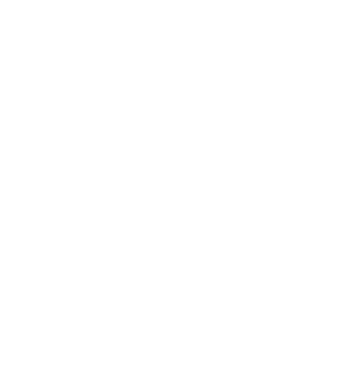 Volleyball Academy