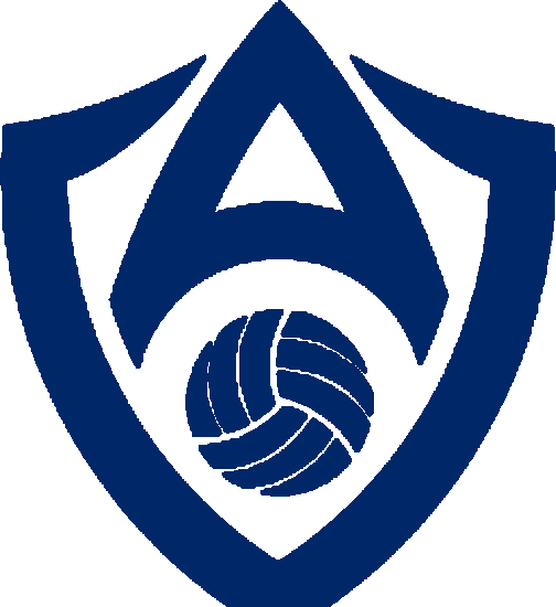 Volleyball Academy